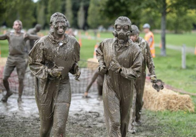 Подборка картинок. Вечерний выпуск - 12.11.2025