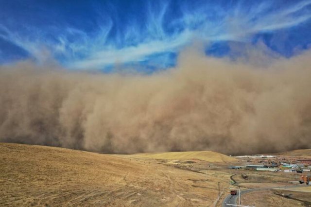 Подборка картинок. Вечерний выпуск - 12.11.2025