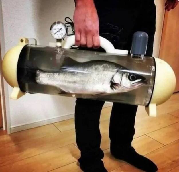 Подборка картинок. Вечерний выпуск - 12.11.2025