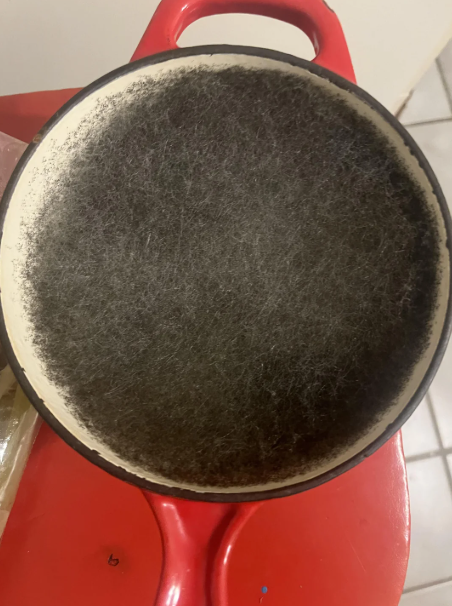 Вот что может вырасти в кастрюле за две недели.