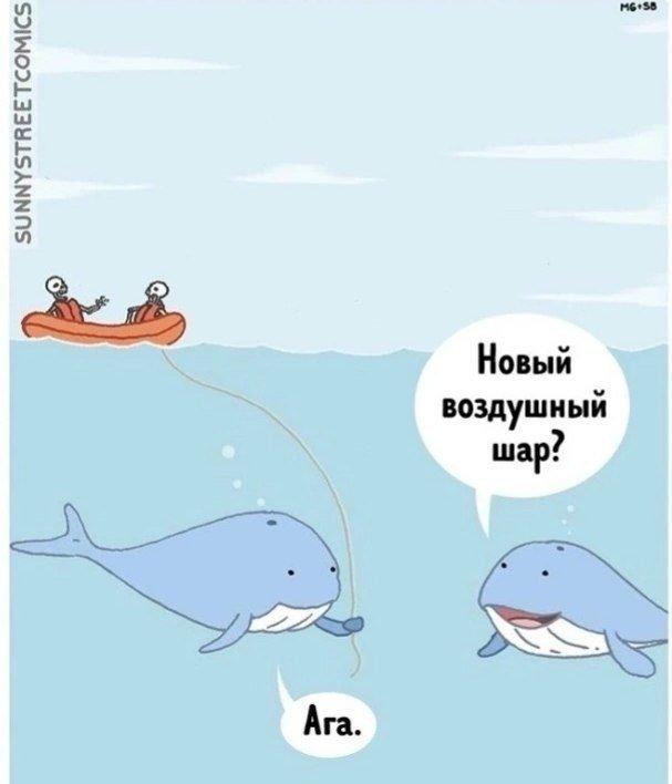 Смешные мемы - 13.11.2025