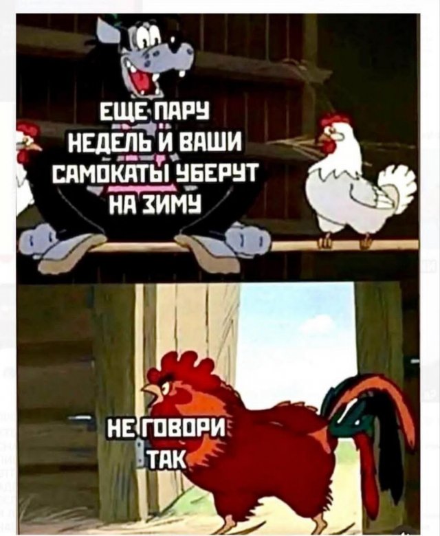 Смешные мемы - 13.11.2025