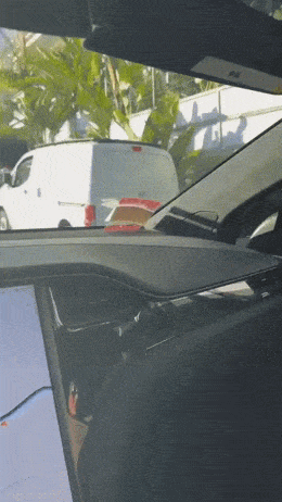 Подборка гифок -  13.11.2025