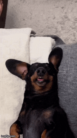 Подборка гифок -  13.11.2025