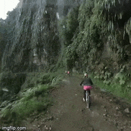 Подборка гифок -  13.11.2025