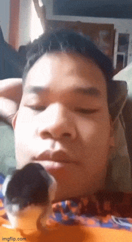 Подборка гифок -  13.11.2025