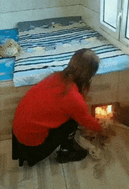 Подборка гифок -  13.11.2025