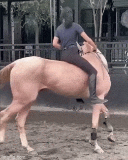 Подборка гифок -  13.11.2025