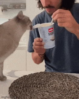 Подборка гифок -  13.11.2025