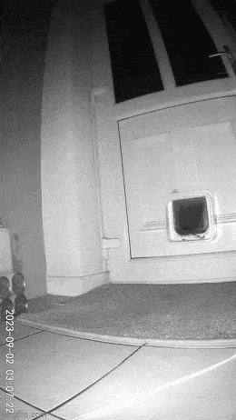 Подборка гифок -  13.11.2025