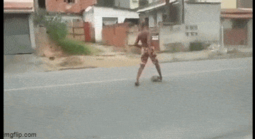 Подборка гифок -  13.11.2025