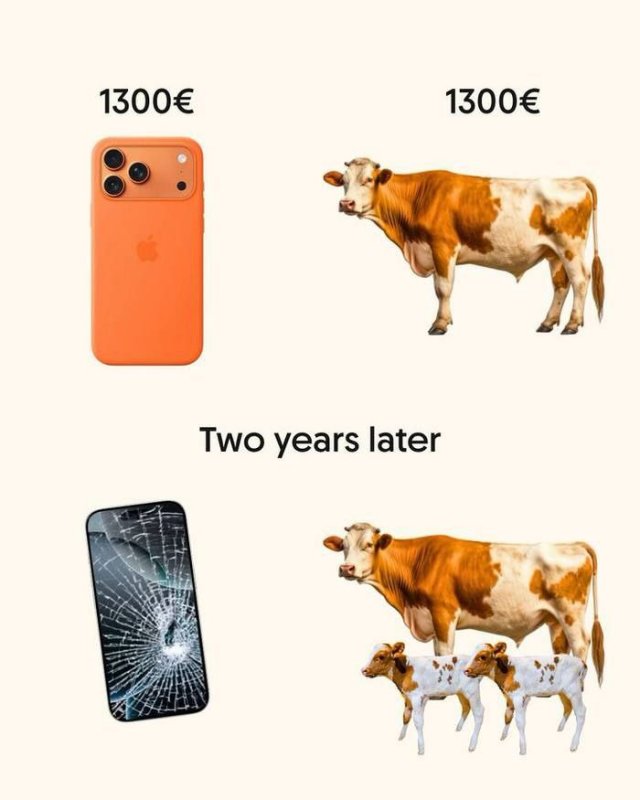 Лучшие мемы из Сети - 13.11.2025