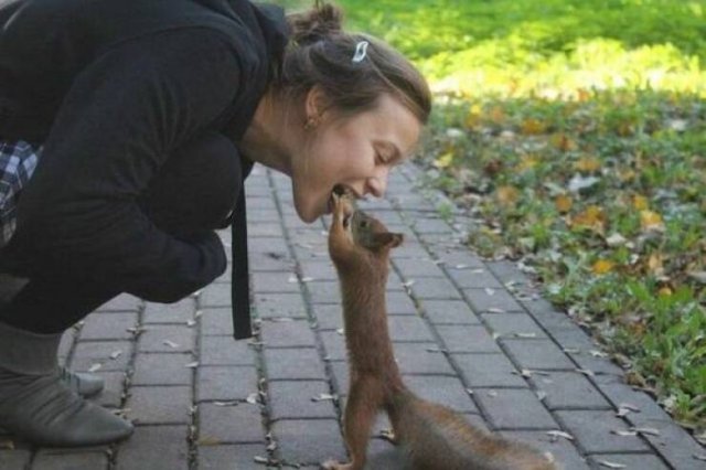 Подборка картинок. Вечерний выпуск - 13.11.2025