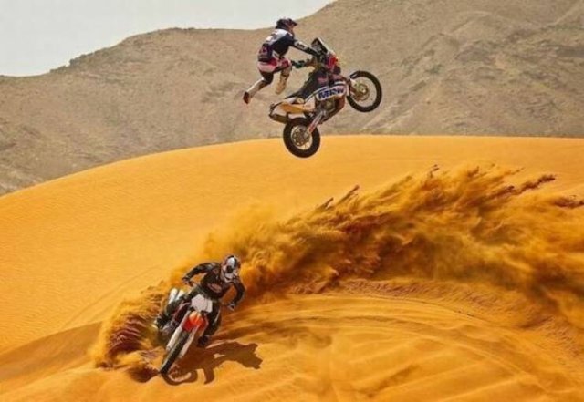 Подборка картинок. Вечерний выпуск - 13.11.2025