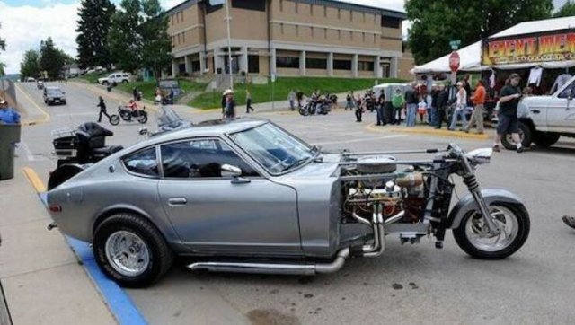 Подборка картинок. Вечерний выпуск - 13.11.2025