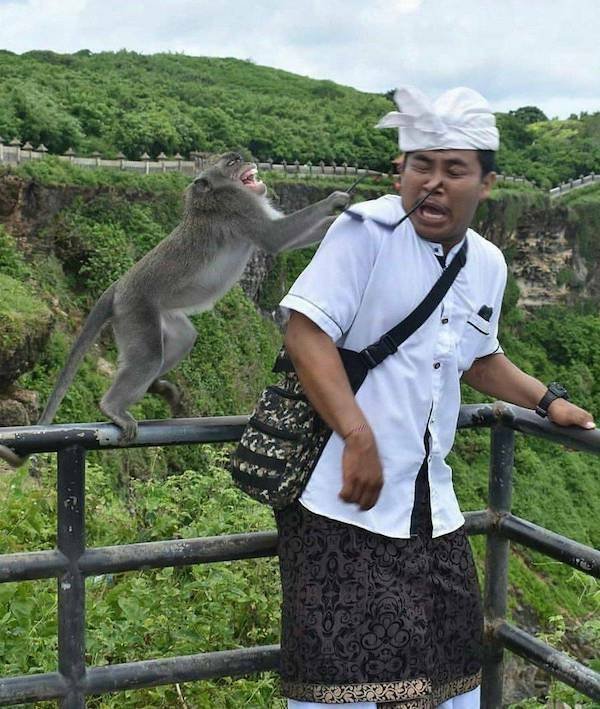 Подборка картинок. Вечерний выпуск - 13.11.2025