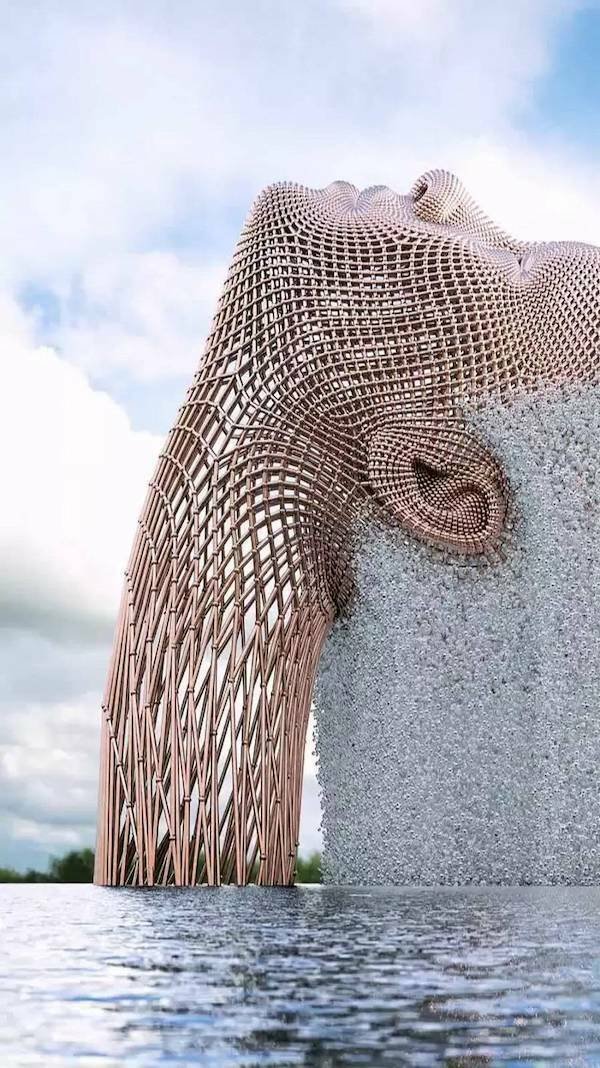 Подборка картинок. Вечерний выпуск - 13.11.2025