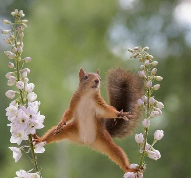 Подборка картинок. Вечерний выпуск - 13.11.2025