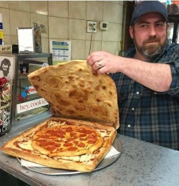 Подборка картинок. Вечерний выпуск - 13.11.2025