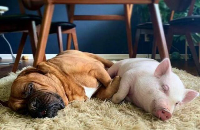 Подборка картинок. Вечерний выпуск - 13.11.2025