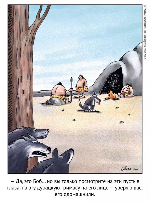 Смешные мемы - 14.11.2025