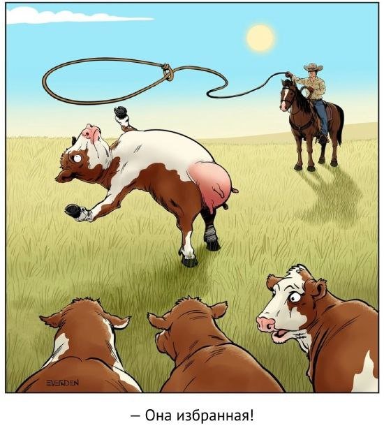 Смешные мемы - 14.11.2025