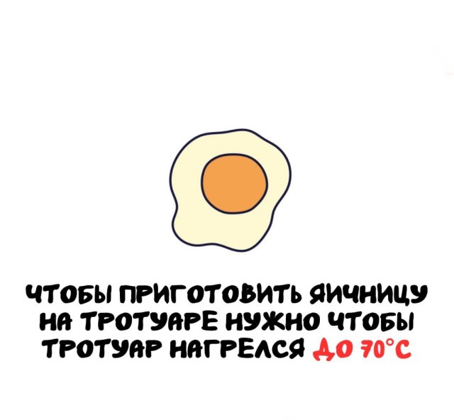 Интересные факты на все случаи жизни