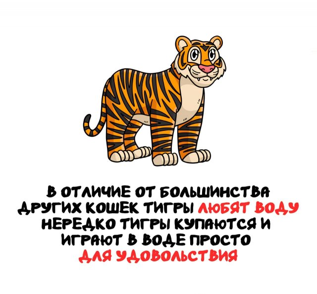 Интересные факты на все случаи жизни