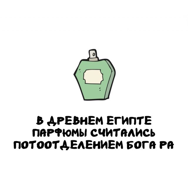 Интересные факты на все случаи жизни