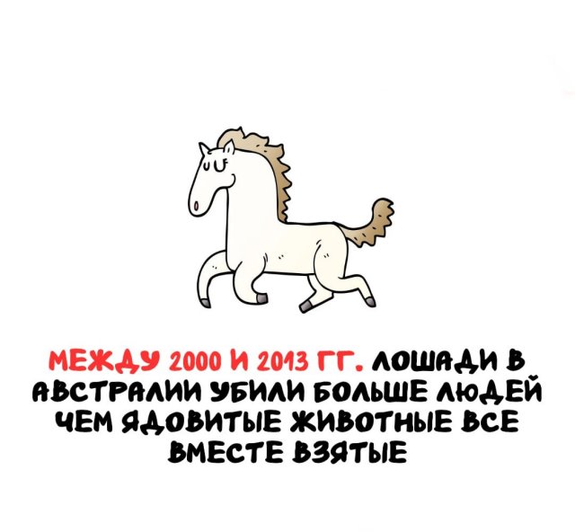 Интересные факты на все случаи жизни