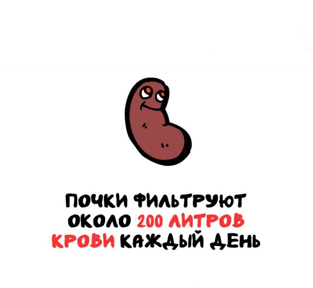 Интересные факты на все случаи жизни