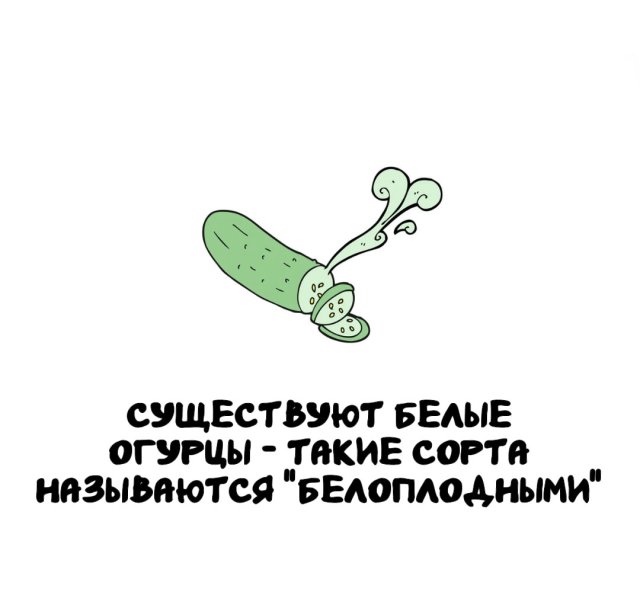 Интересные факты на все случаи жизни