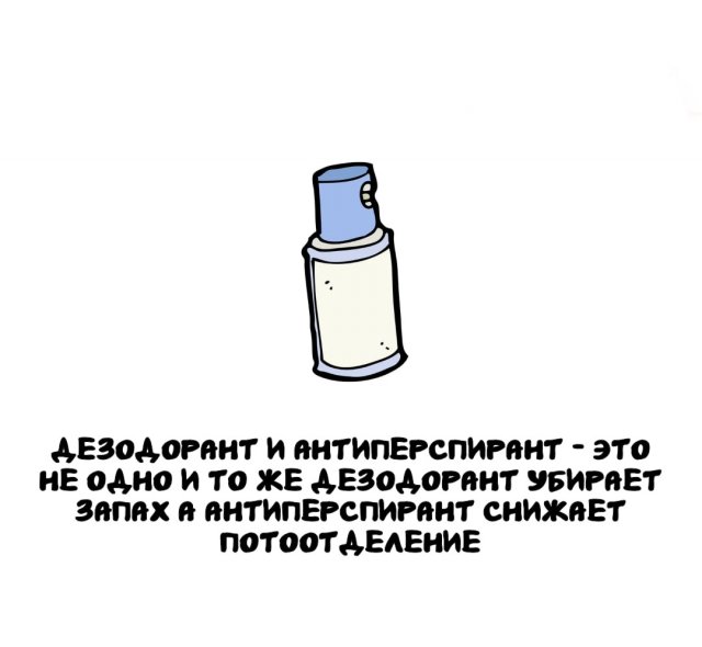 Интересные факты на все случаи жизни