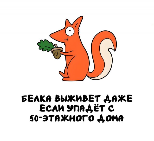 Интересные факты на все случаи жизни