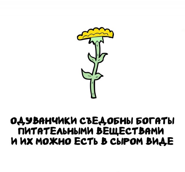 Интересные факты на все случаи жизни