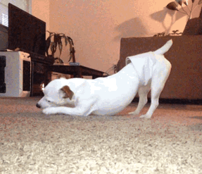 Подборка гифок -  14.11.2025