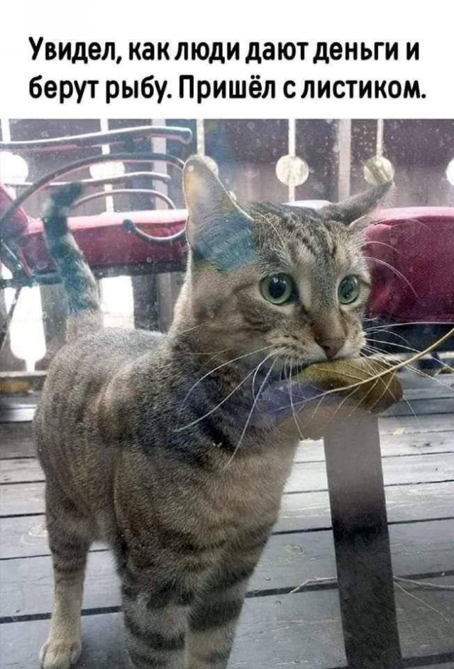 Лучшие шутки и мемы из Сети - 14.11.2025