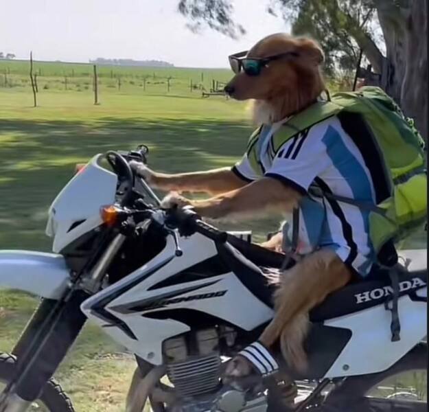 Подборка картинок. Вечерний выпуск - 14.11.2025