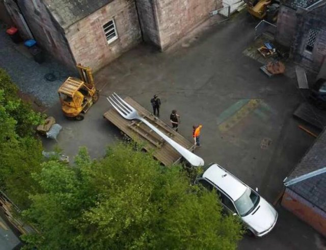 Подборка картинок. Вечерний выпуск - 14.11.2025