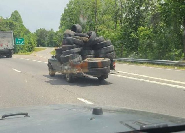 Подборка картинок. Вечерний выпуск - 14.11.2025