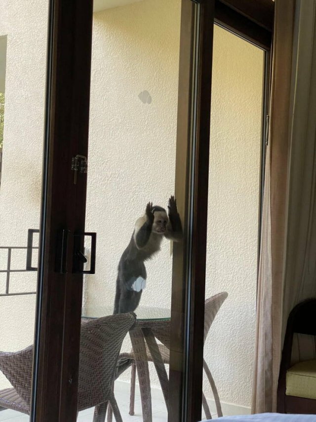 Подборка картинок. Вечерний выпуск - 14.11.2025