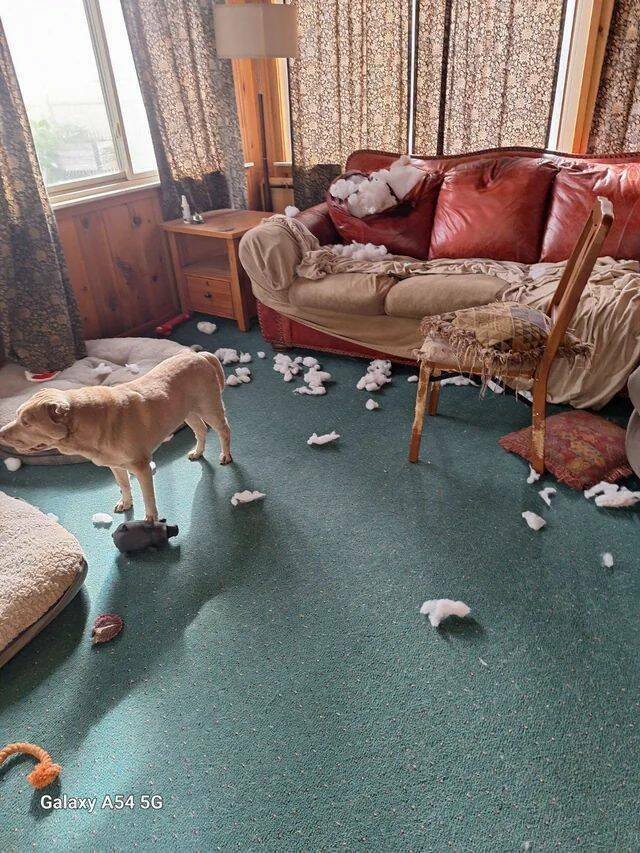 Подборка картинок. Вечерний выпуск - 17.11.2025