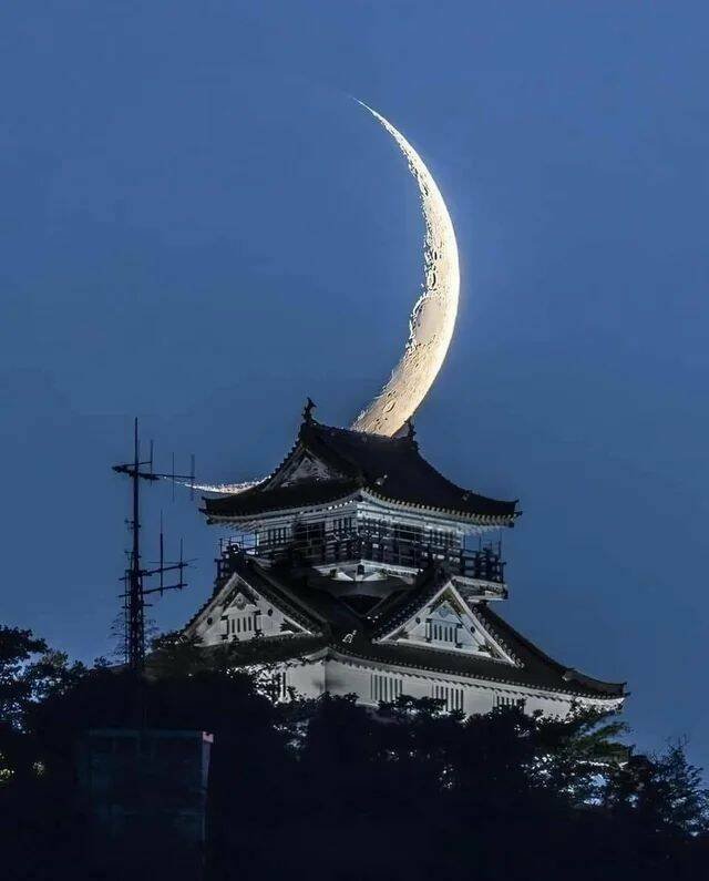 Подборка картинок. Вечерний выпуск - 17.11.2025