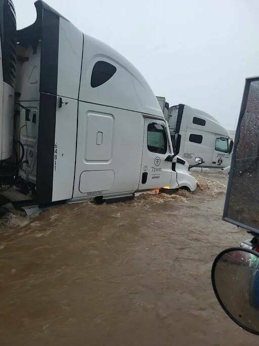 Подборка картинок. Вечерний выпуск - 17.11.2025