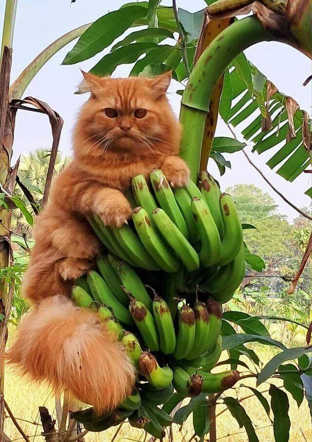 Подборка картинок. Вечерний выпуск - 17.11.2025