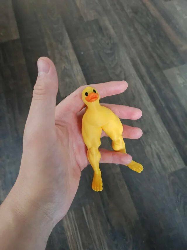 Подборка картинок. Вечерний выпуск - 17.11.2025