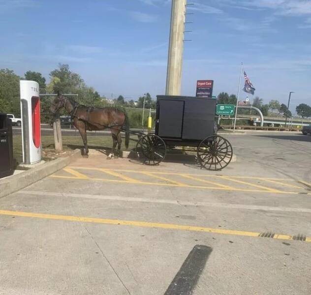 Подборка картинок. Вечерний выпуск - 17.11.2025