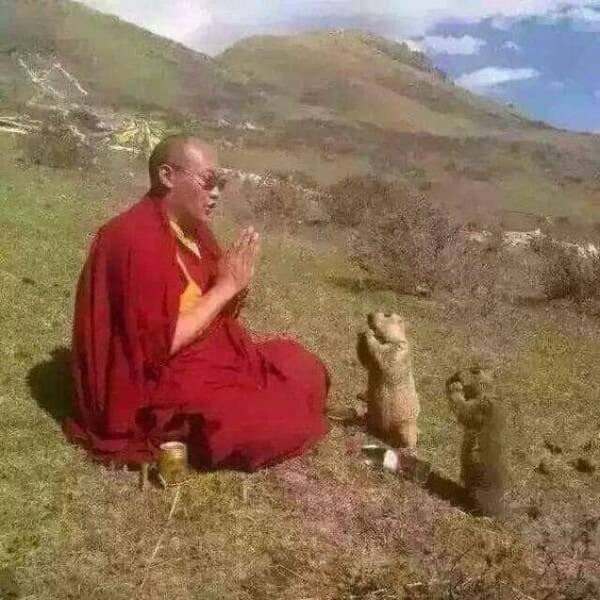 Подборка картинок. Вечерний выпуск - 17.11.2025