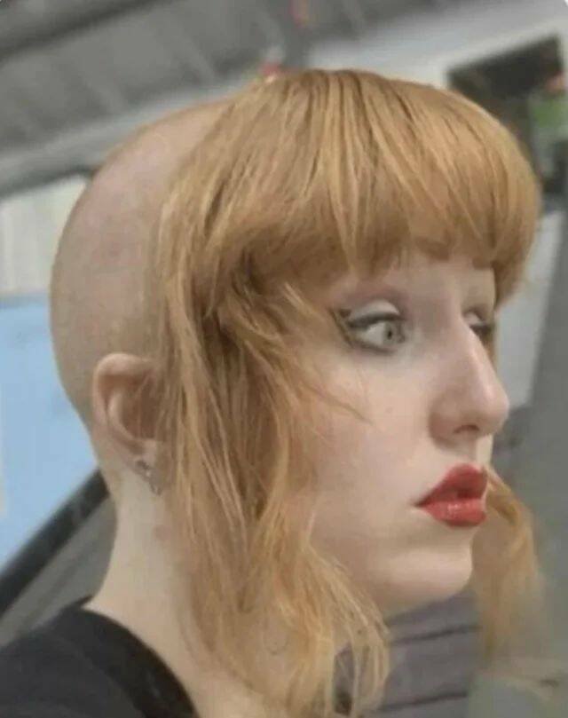 Подборка картинок. Вечерний выпуск - 17.11.2025