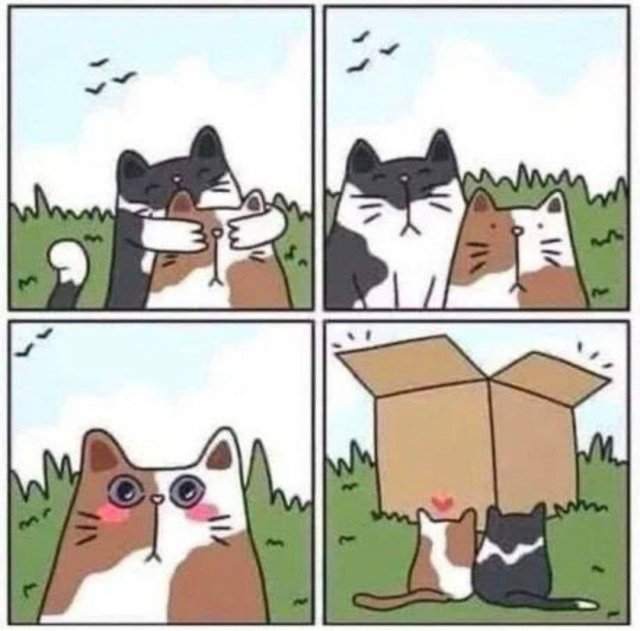 Смешные мемы - 17.11.2025